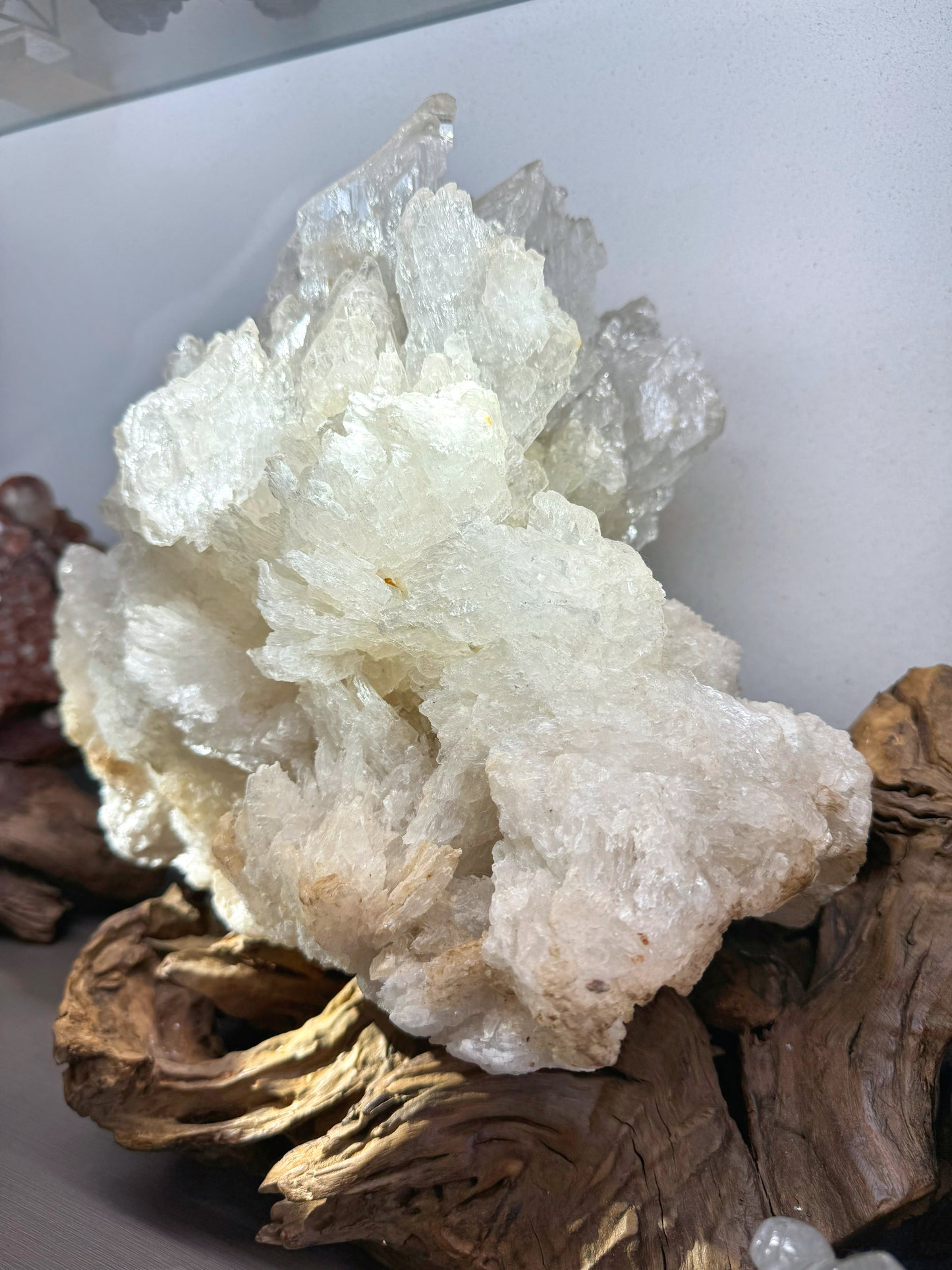 Gypsum